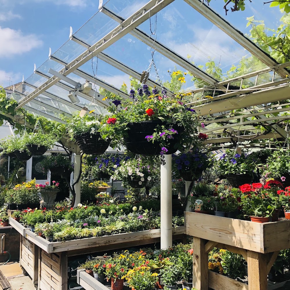 Clifton Nurseries