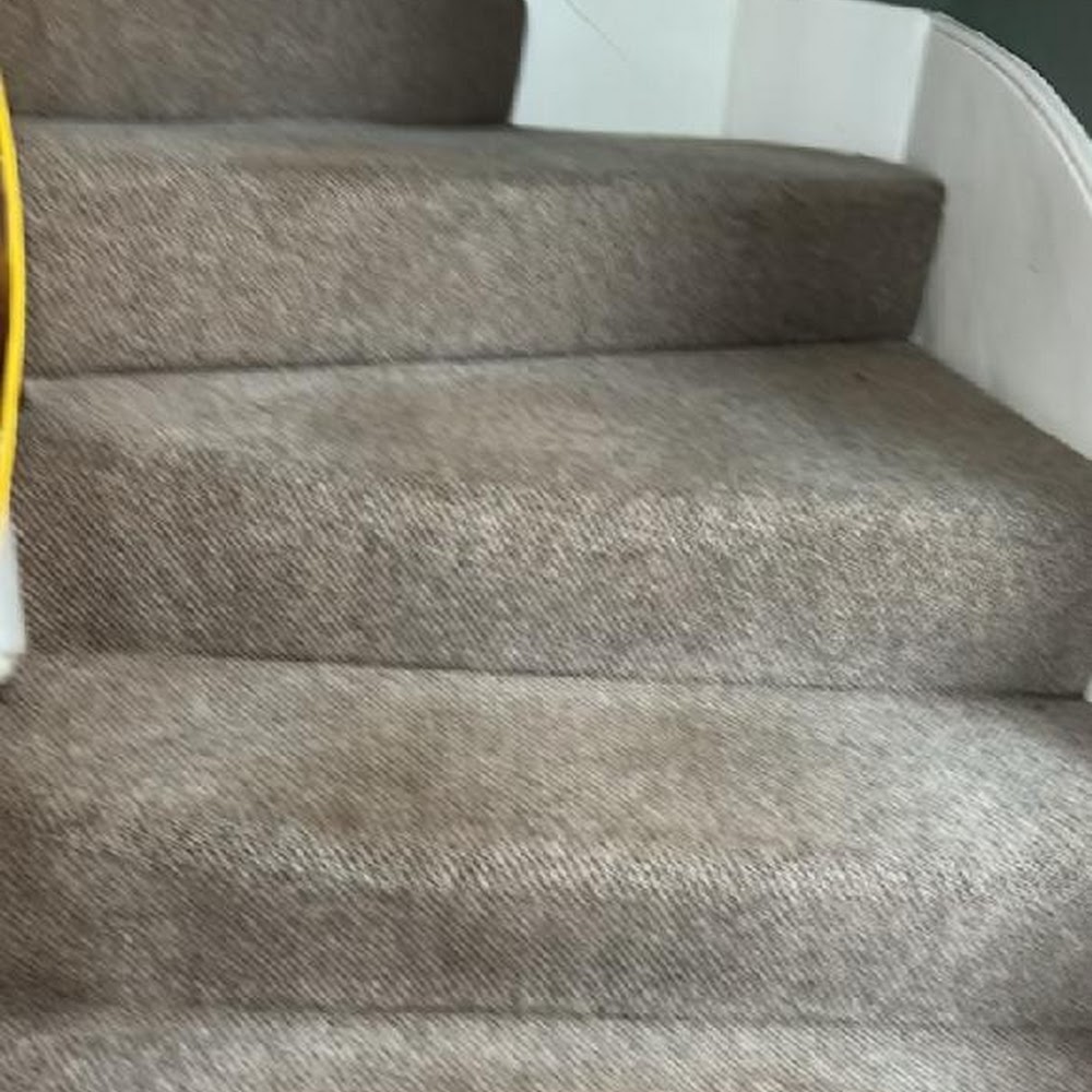 Deep Cleaning Bloomsbury