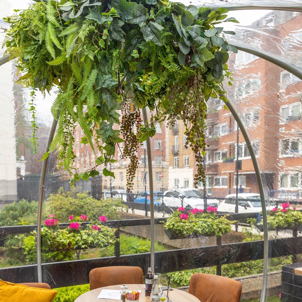 Dining Domes @ WC1