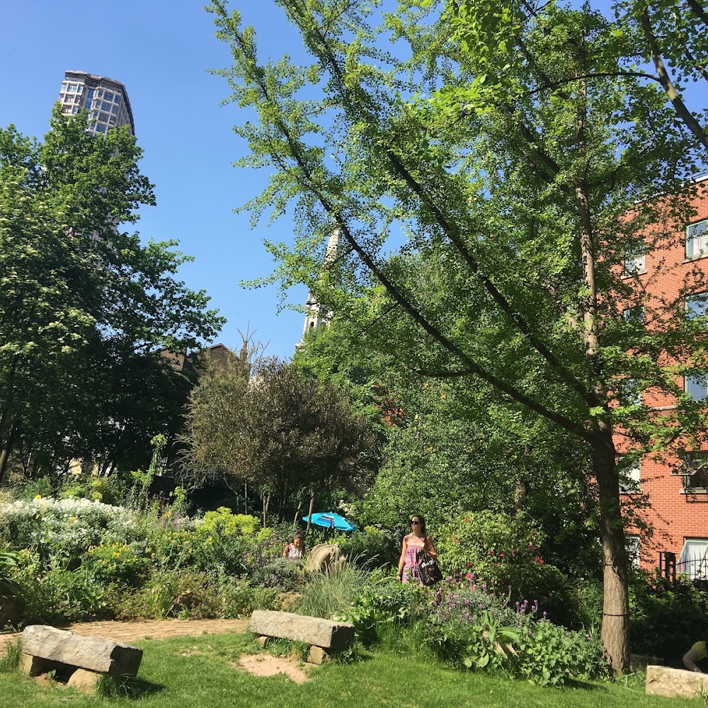 The Phoenix Garden