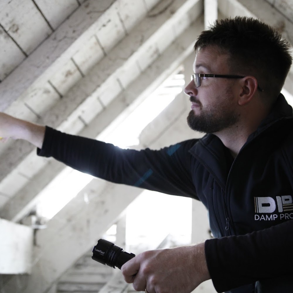 Damp Pro - Independent Damp & Timber Surveys