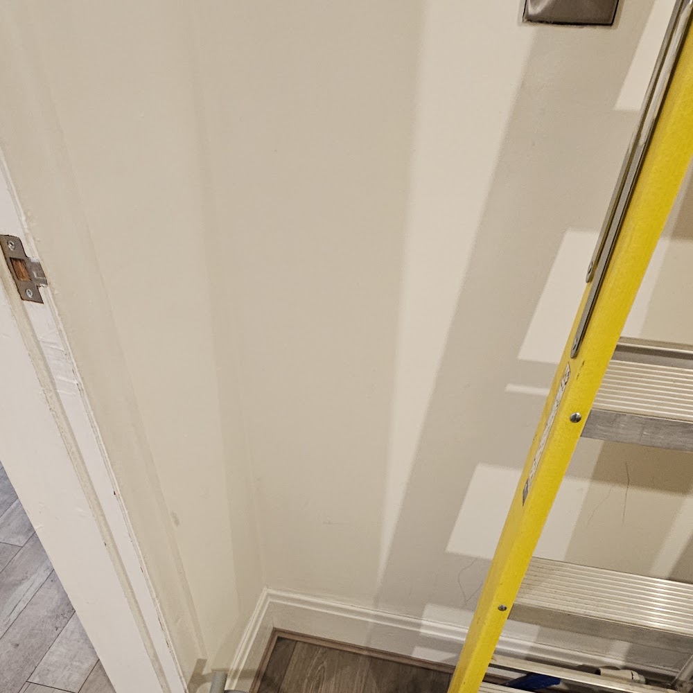 Cleaner in Manchester (0161) Ltd