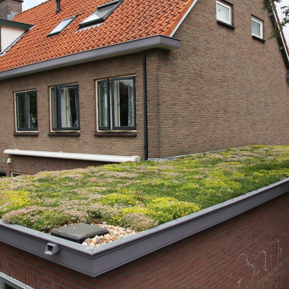 The Green Roof Company