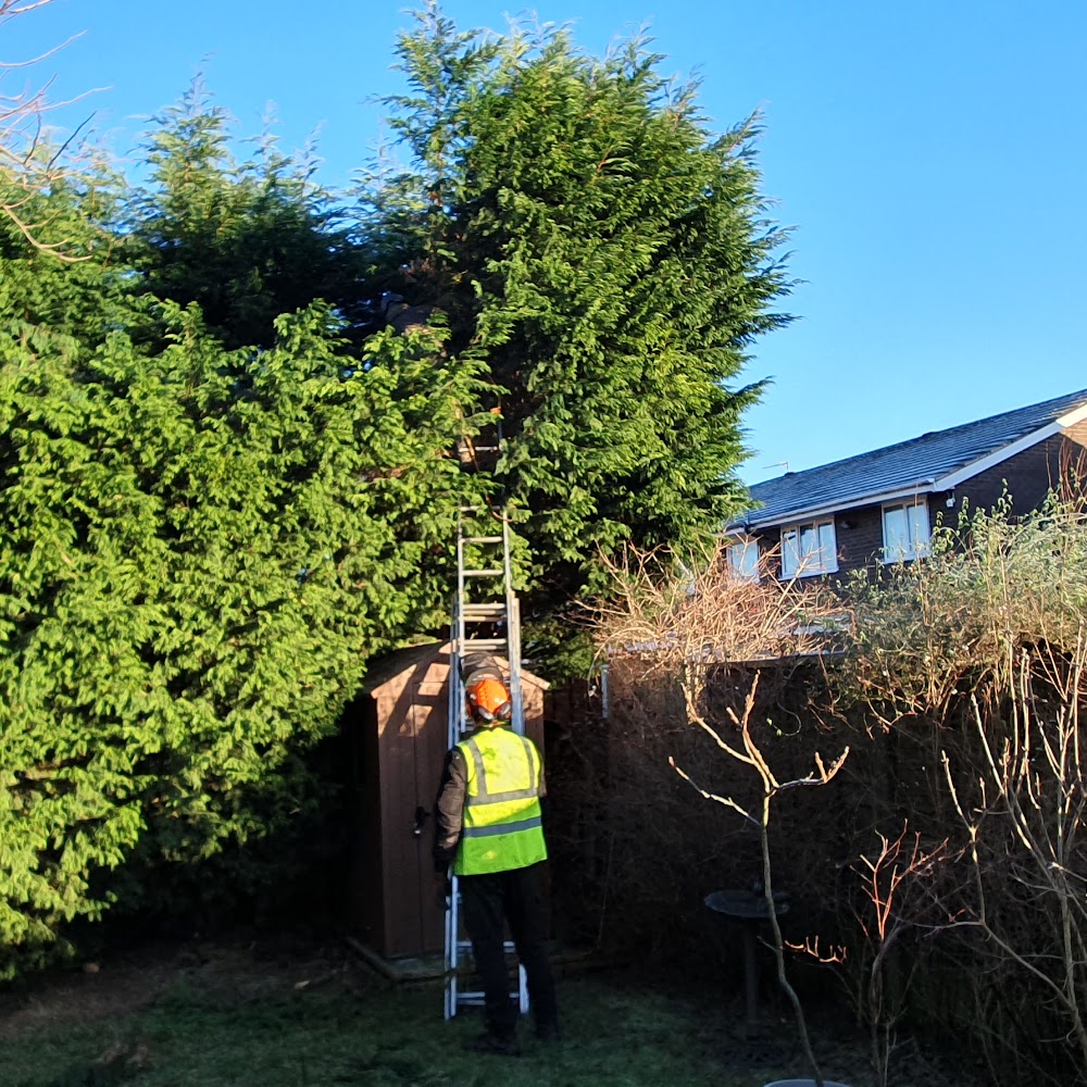 DIDSBURY TREE & STUMP REMOVALS/DIDSBURY TREE SURGEON