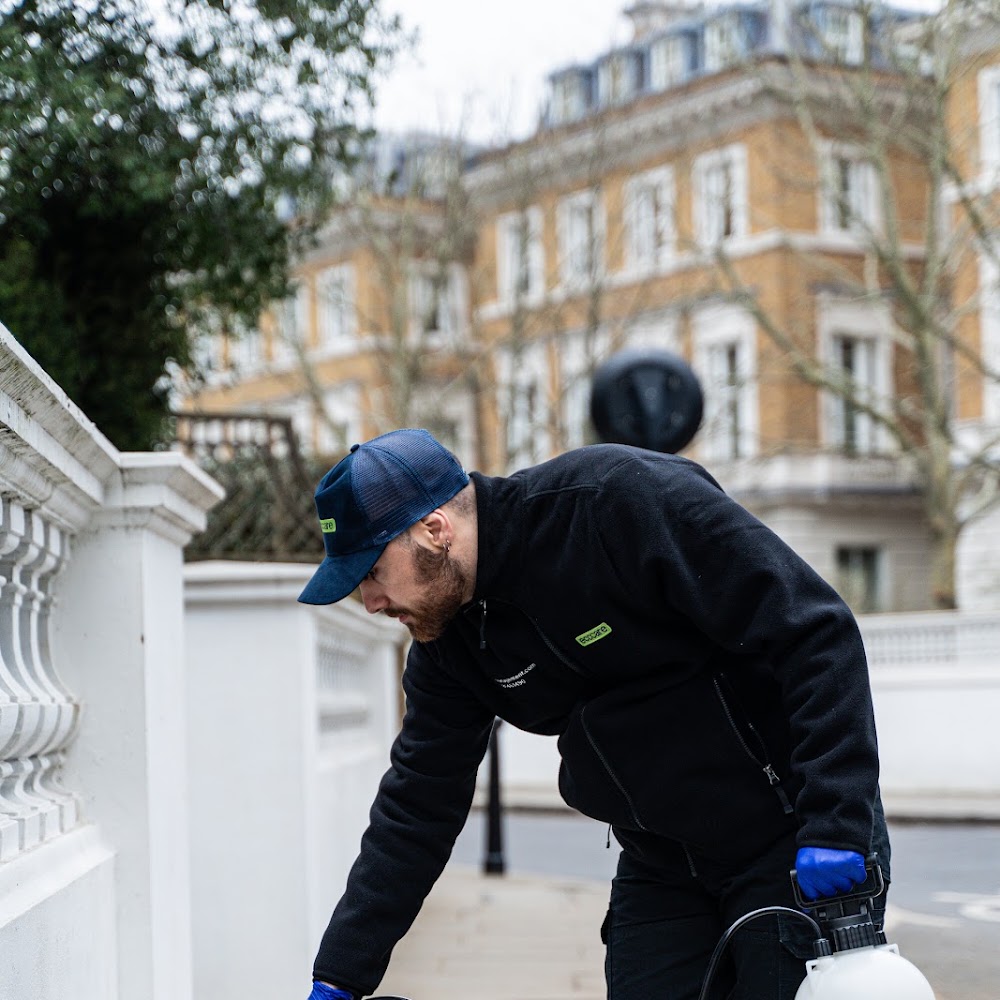 EcoCare Pest Management