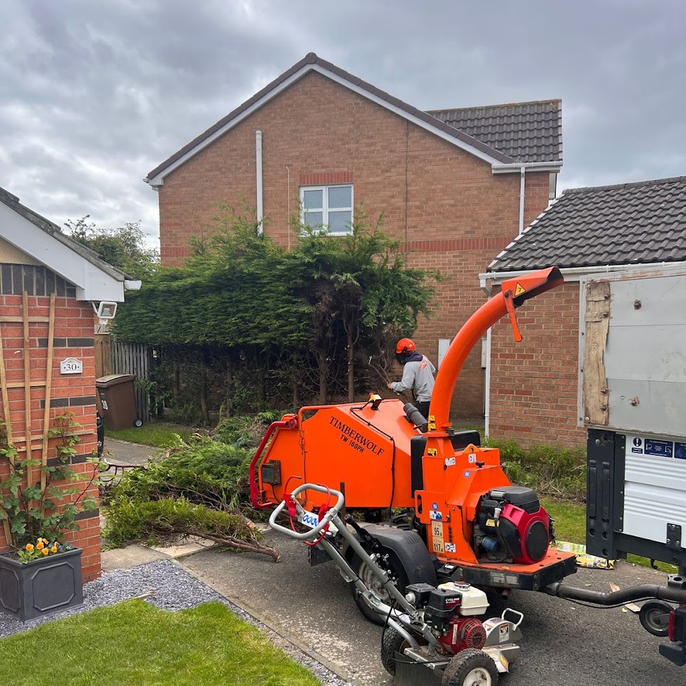 Newcastle Tree Pros