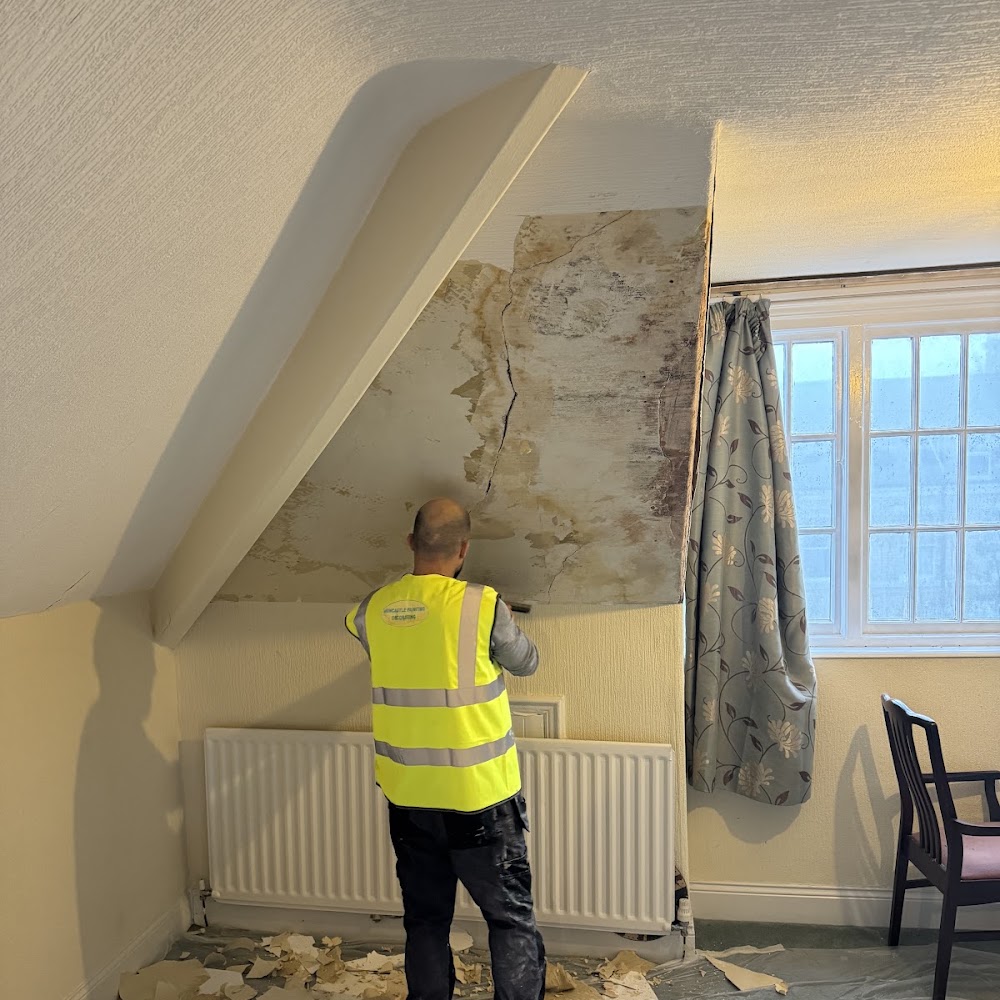 NEWCASTLE PAINTING&DECORATING24 LTD