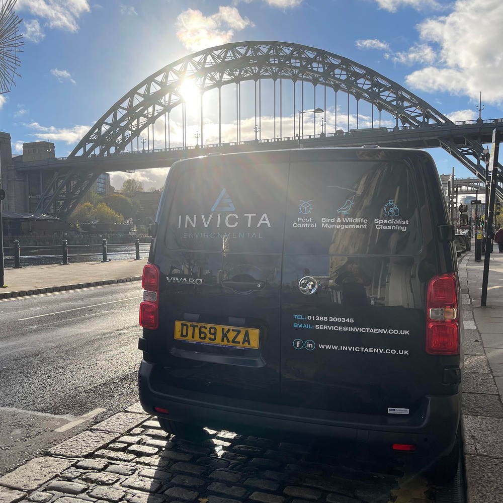 Invicta Pest Control Newcastle