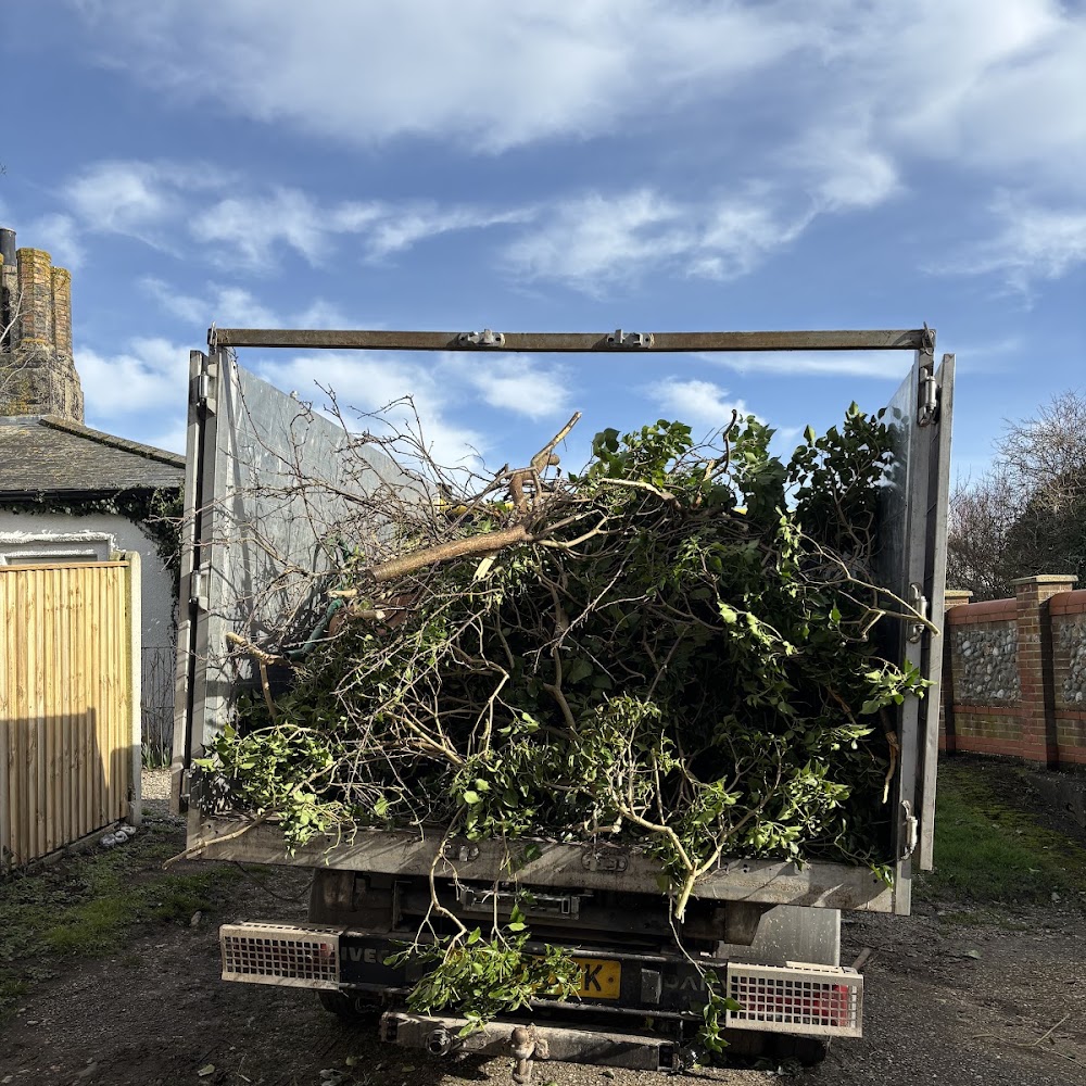 Norfolk tree care