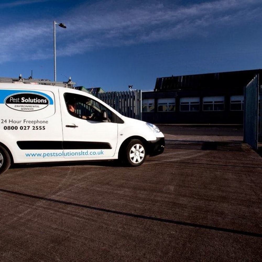 Pest Solutions