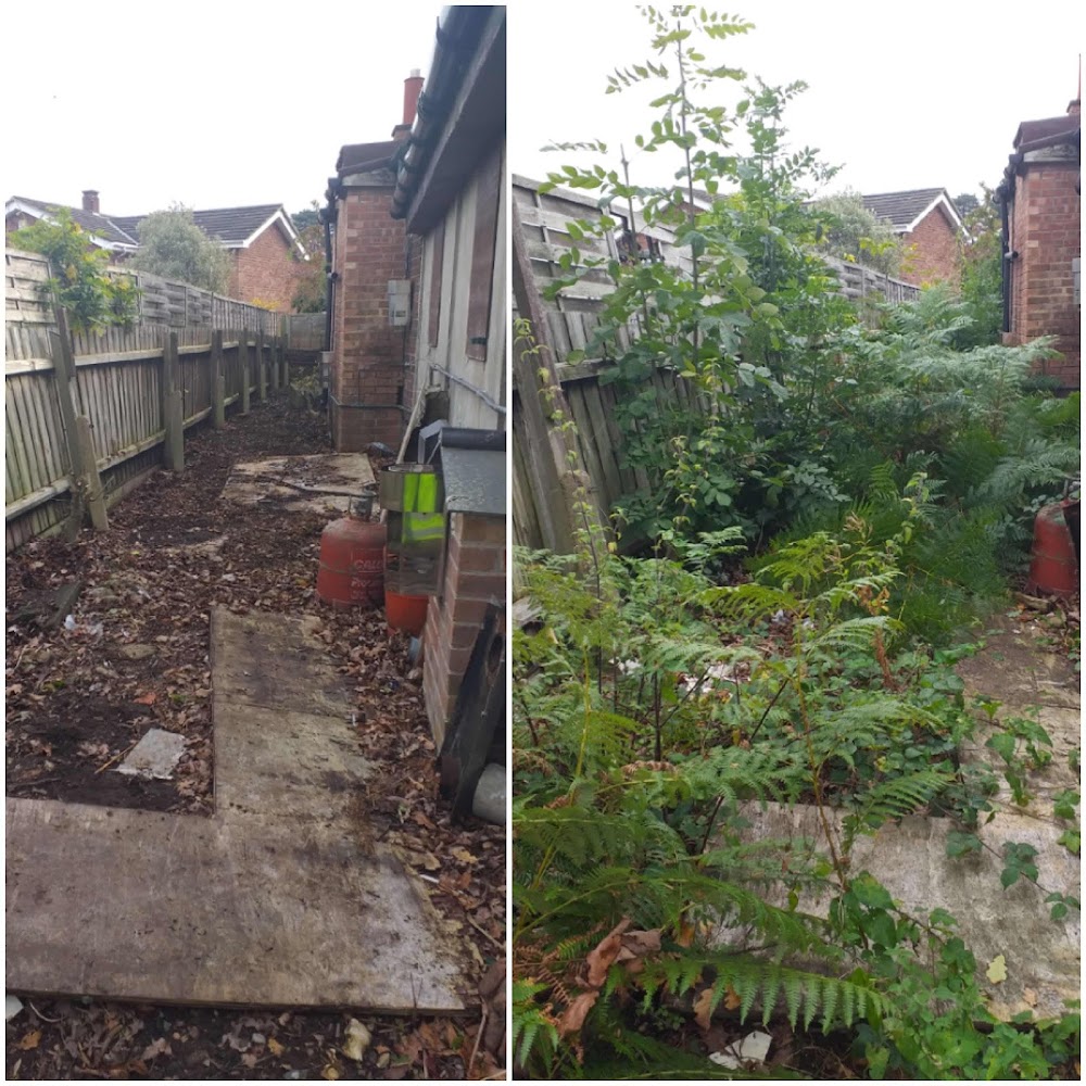 Platinum Cleaning and Gardening Services