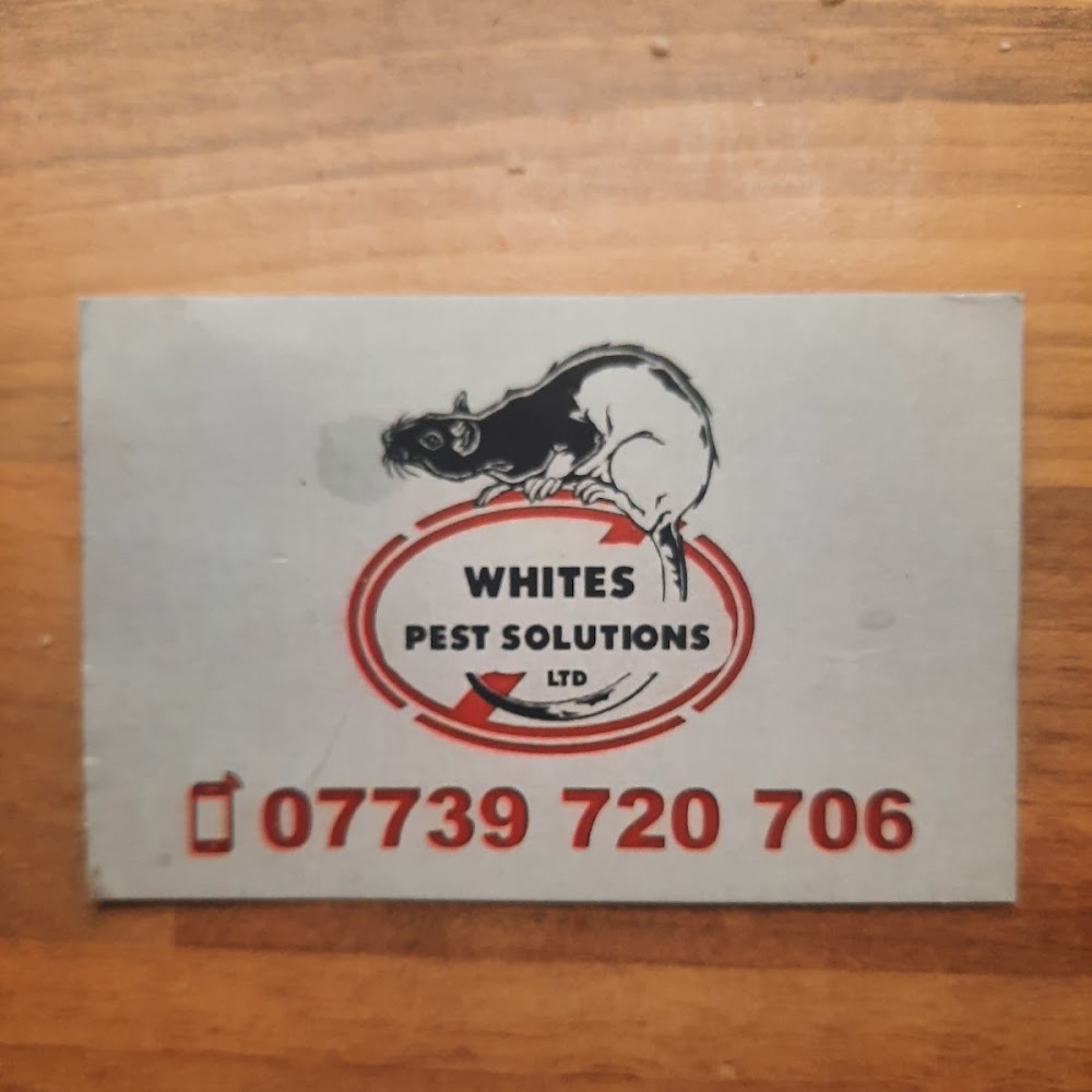 whites pest solutions limited