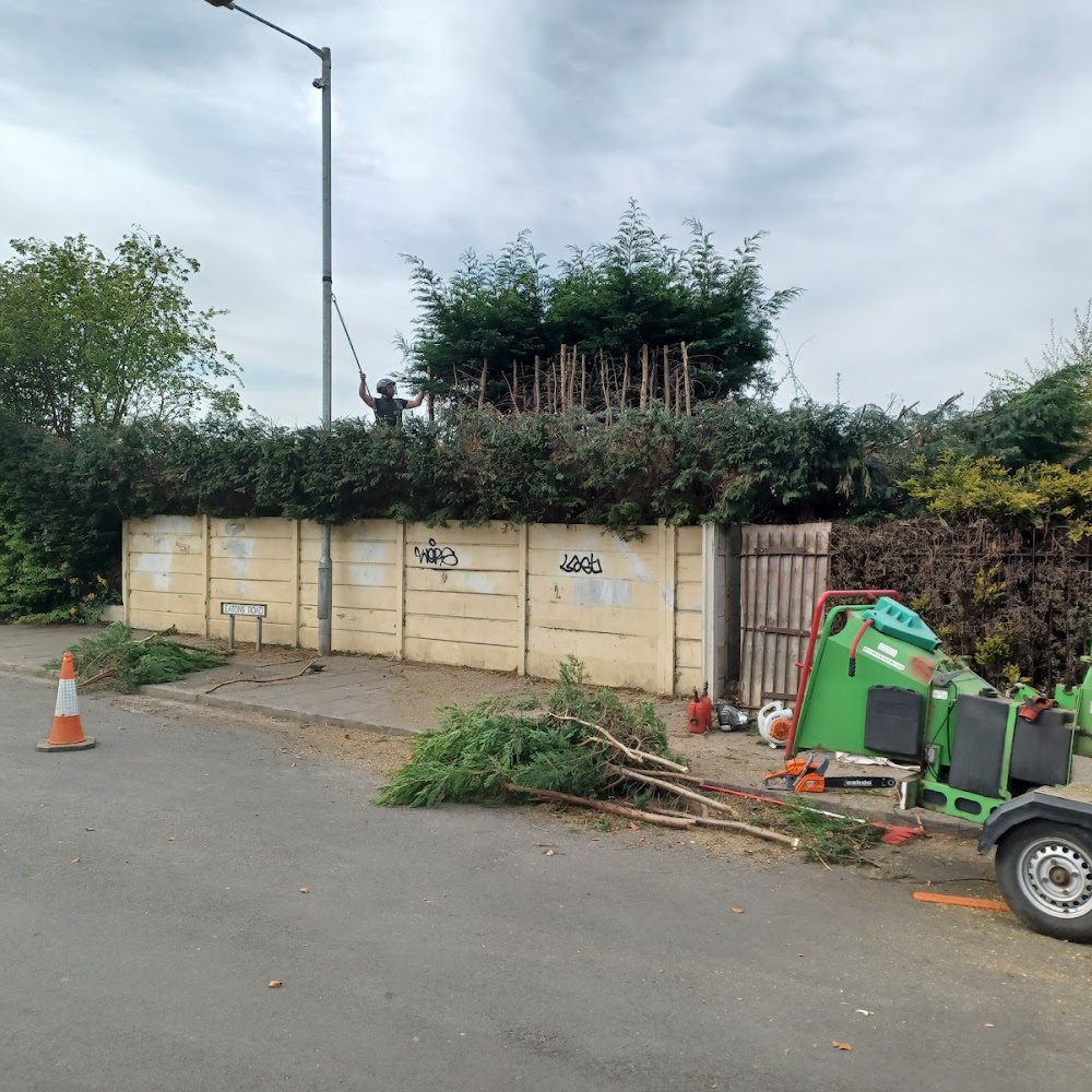 Minor Trees Ltd