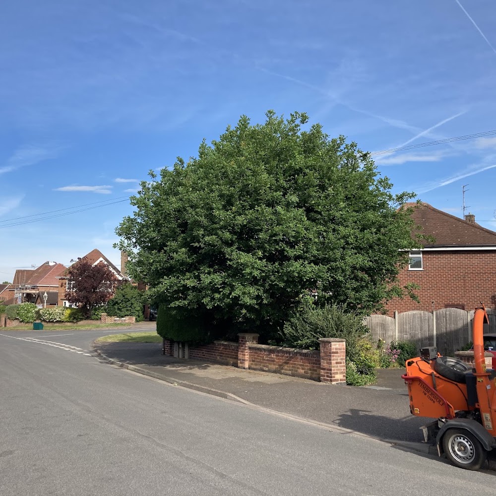 Angus Tree Care