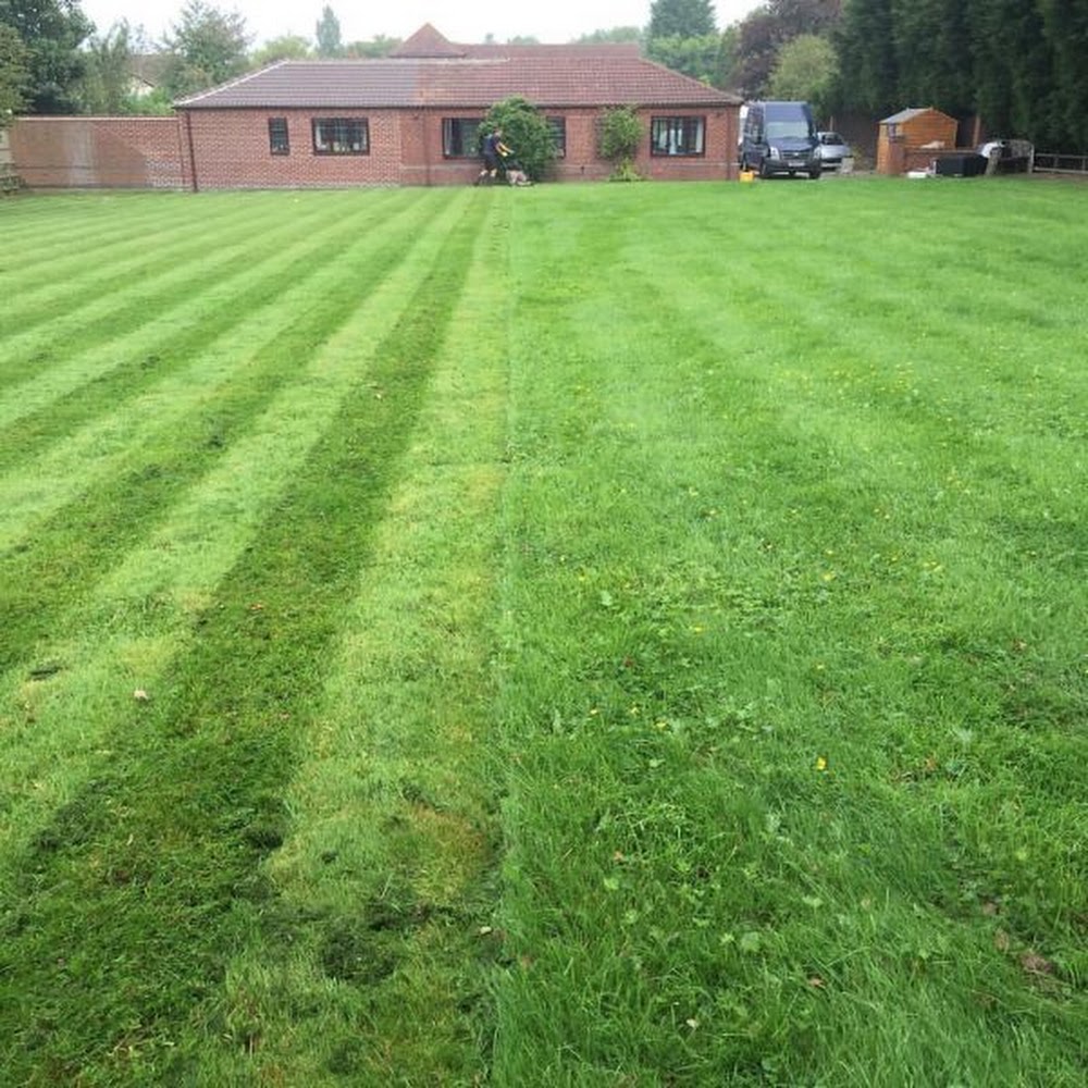 Green With Envy Garden Services