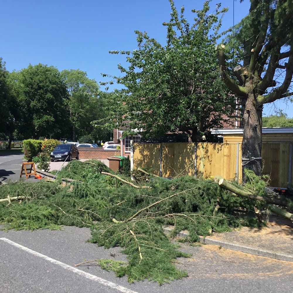 Fairhambrook Tree Care Specialist