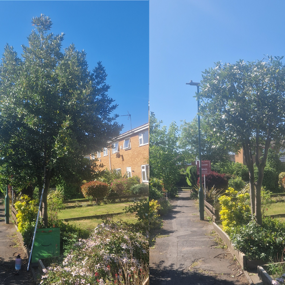 Chipper Tree Care Ltd