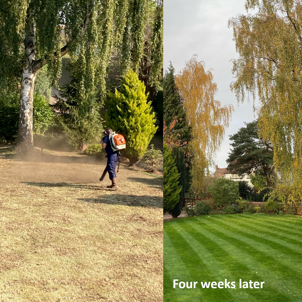 Greener Gardens