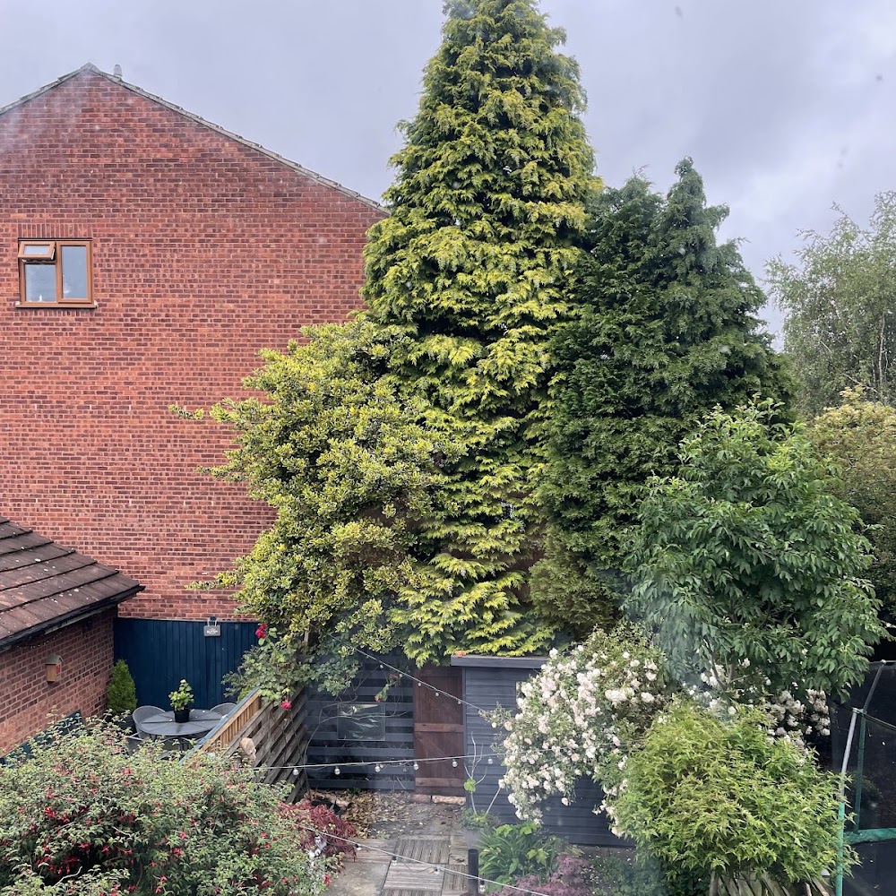 Acorn Tree Services (Nottingham) Ltd