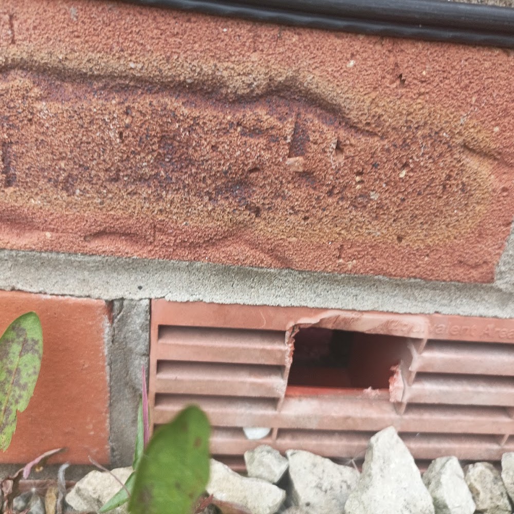 Local pest control Bulwell
