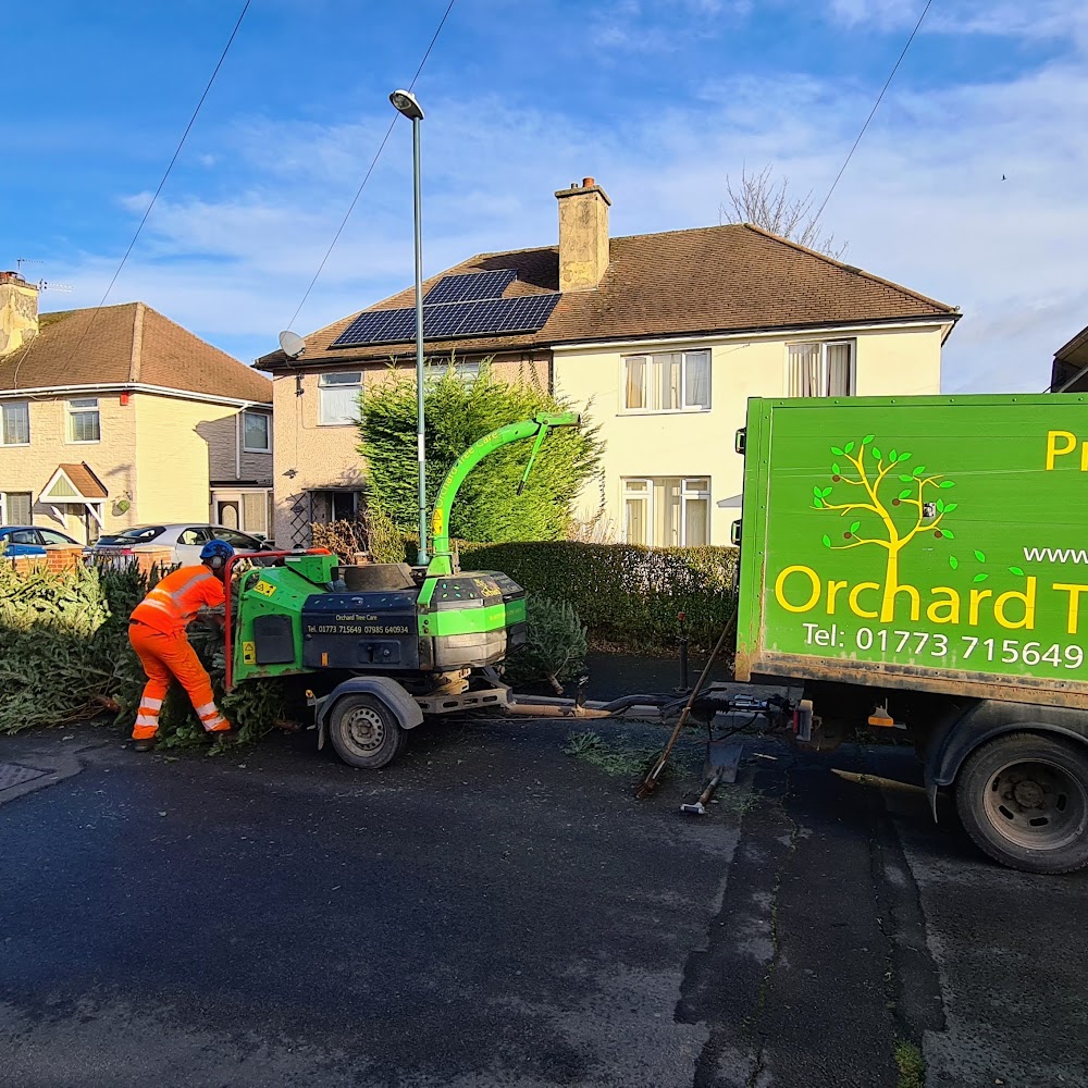 Orchard Tree Care