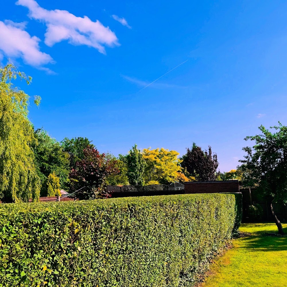 Hunton Tree Surgeons