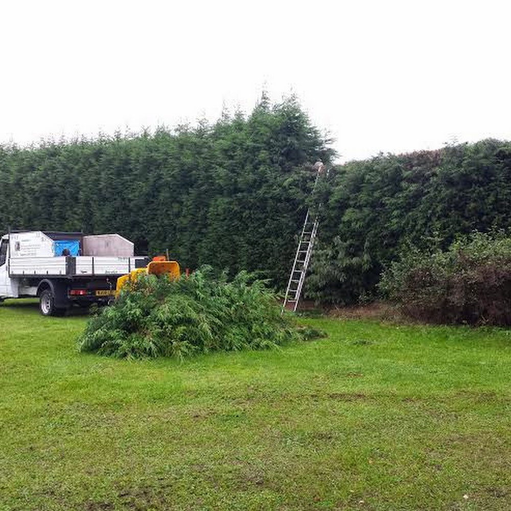 Nottinghamshire Tree Services