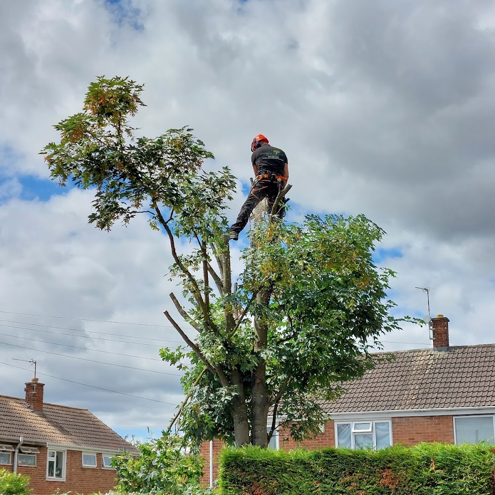 Bramcote Tree Services