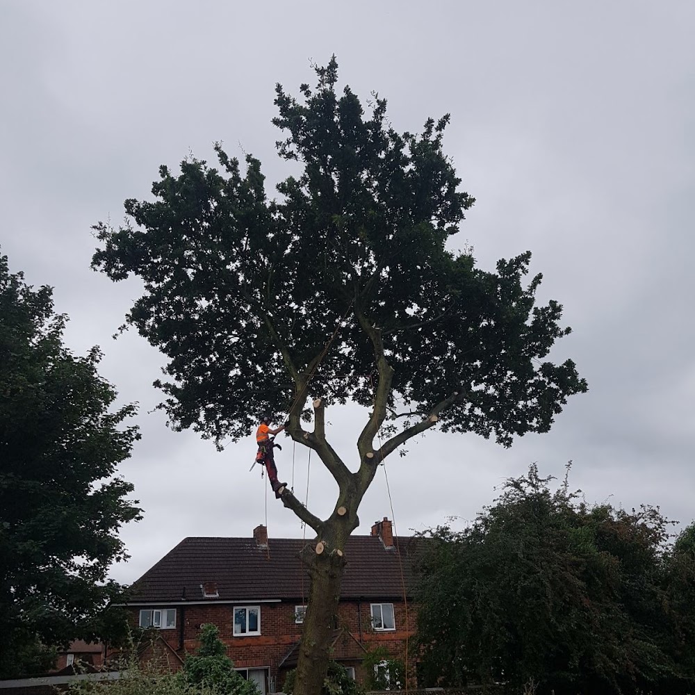 JB Tree Care