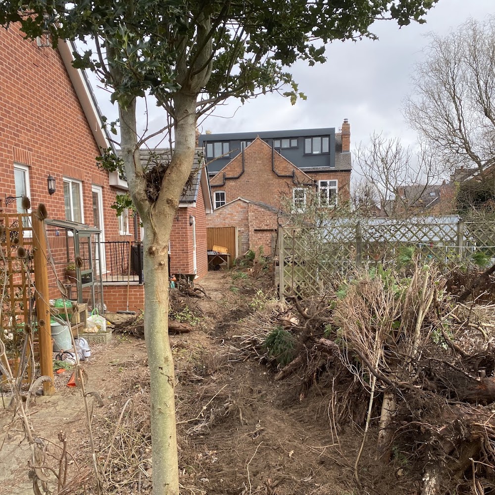 Went To Mow - All things Trees