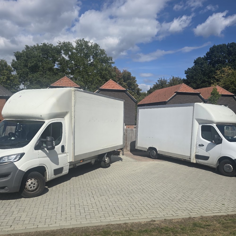 OX Removals