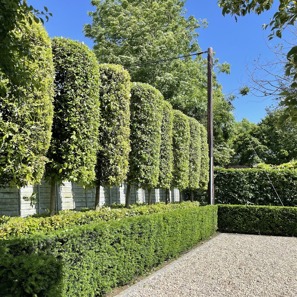Ox Tree Surgeons
