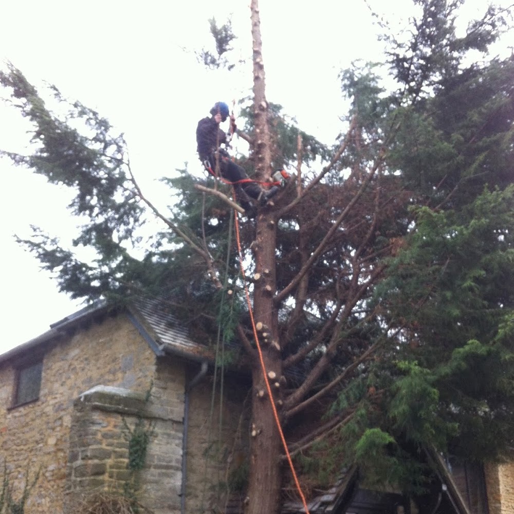 TreeScape Oxford Limited