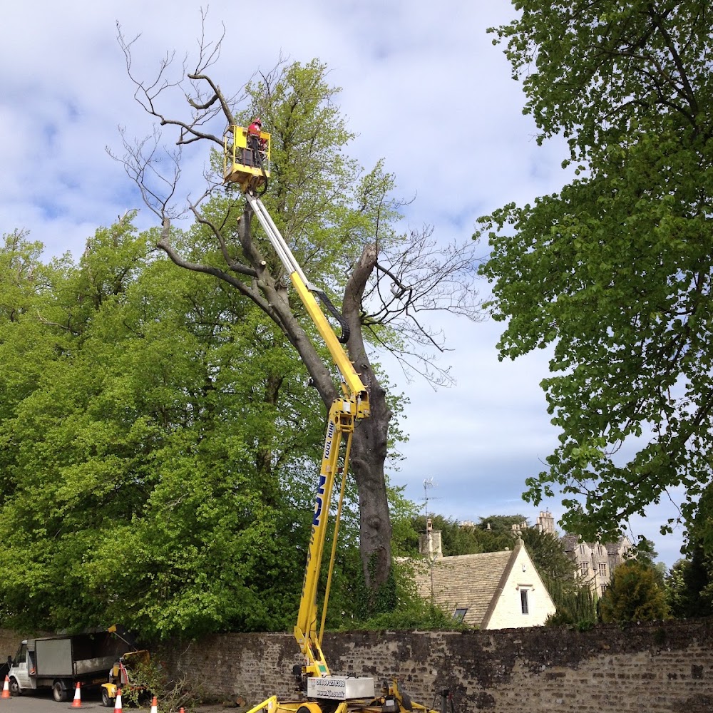 Young's Tree Services