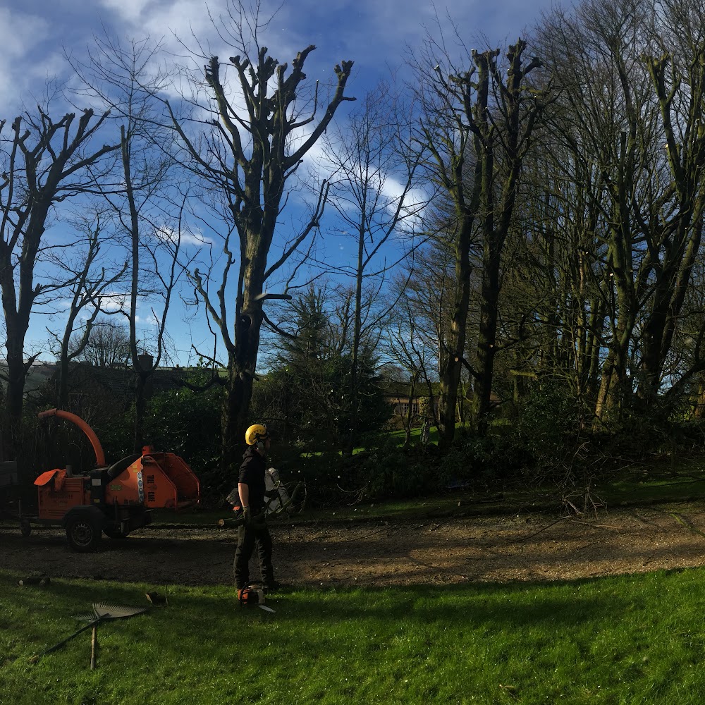 Silver Oak Arboriculture & Dry Stone Walling