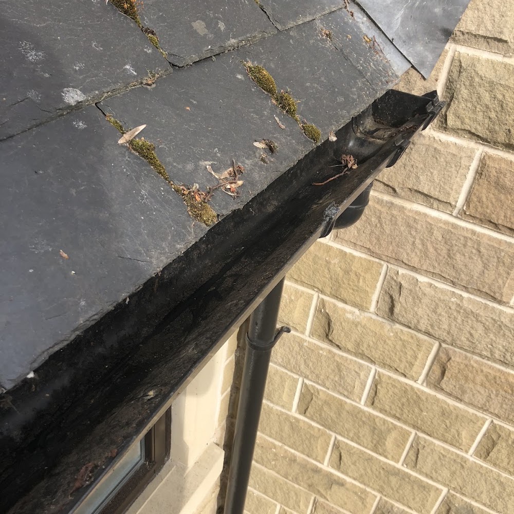 Steel City Gutters