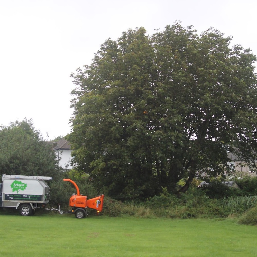 Arborist Tree Care Ltd