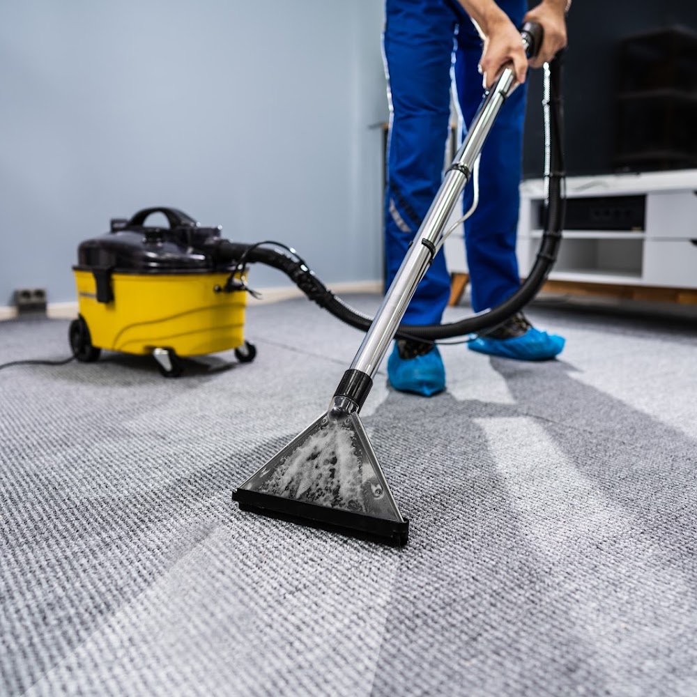 Bonnie Bliss Cleaning Services