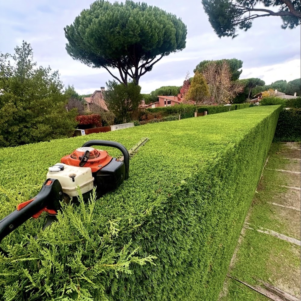 Lux Landscape Gardeners Sheffield