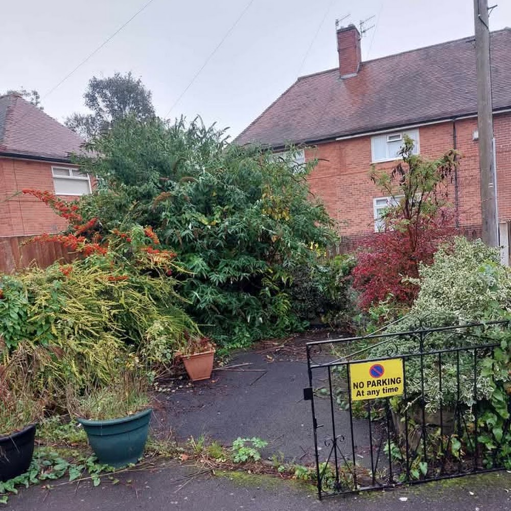 Lee garden and tree services