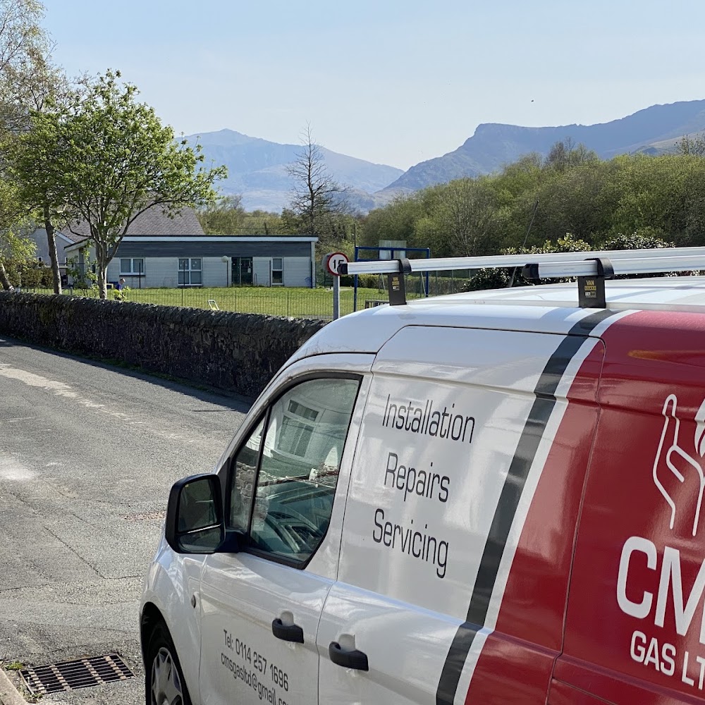 CMS GAS LTD