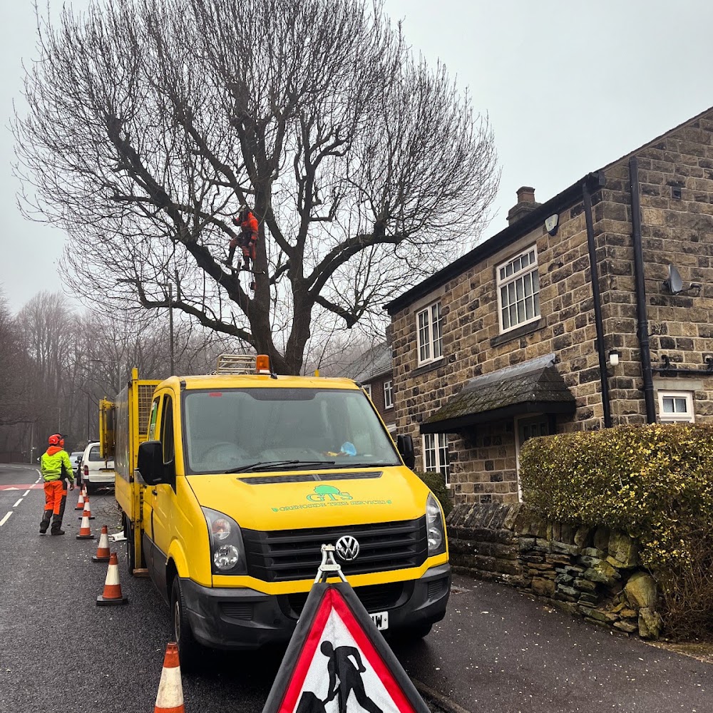 Grenoside Tree Services