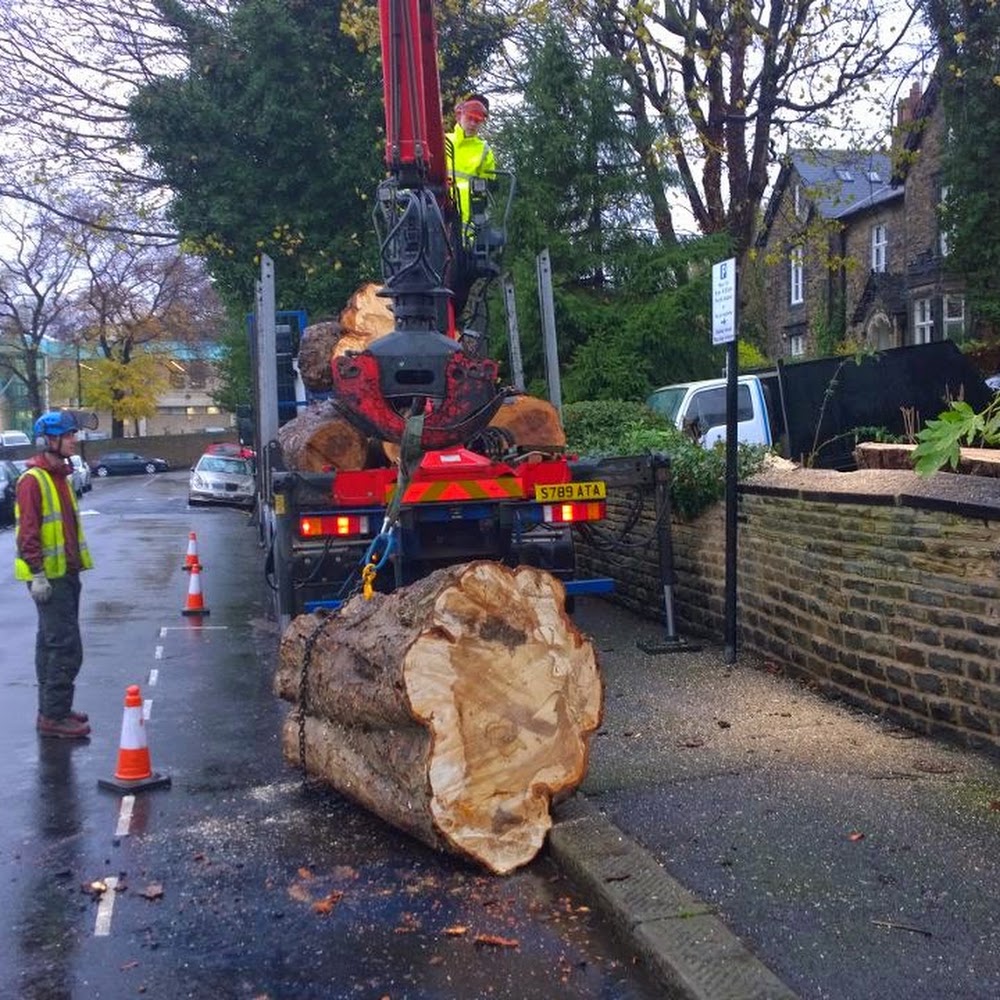 DB Tree Care