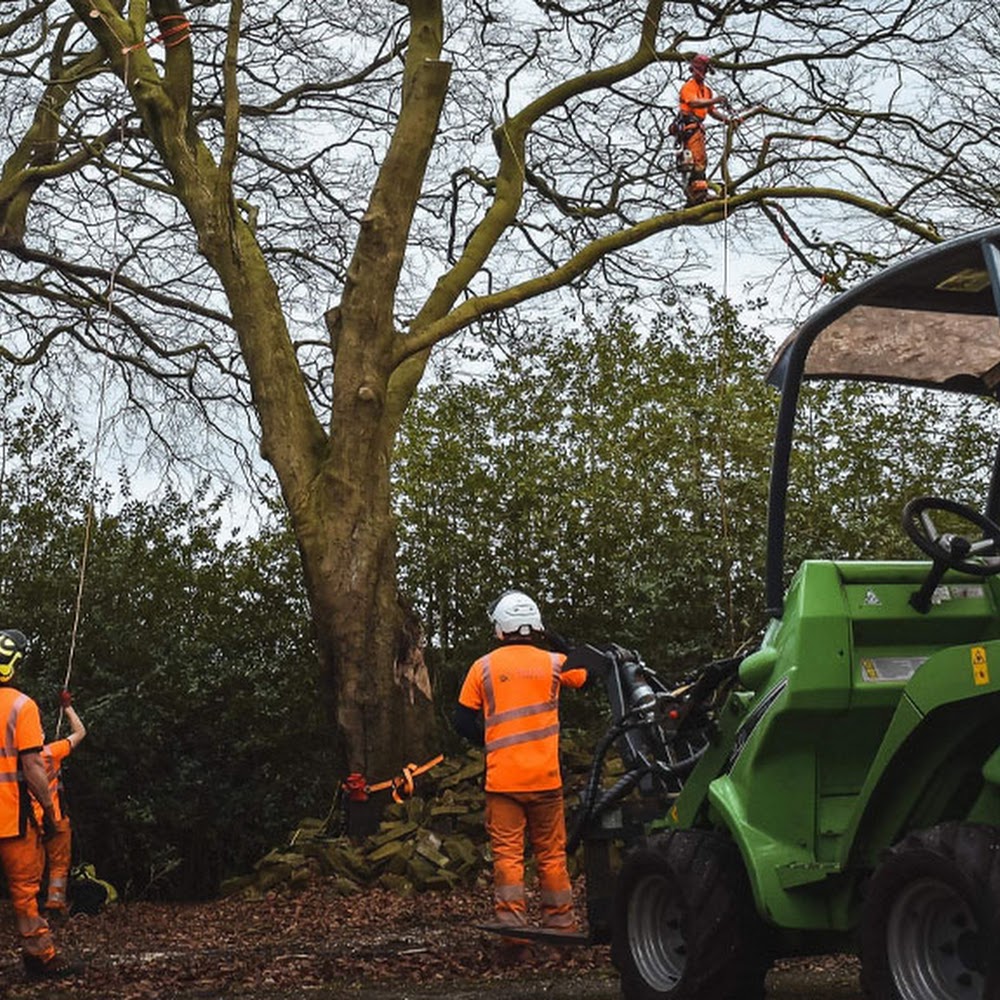 BP Tree Care Ltd