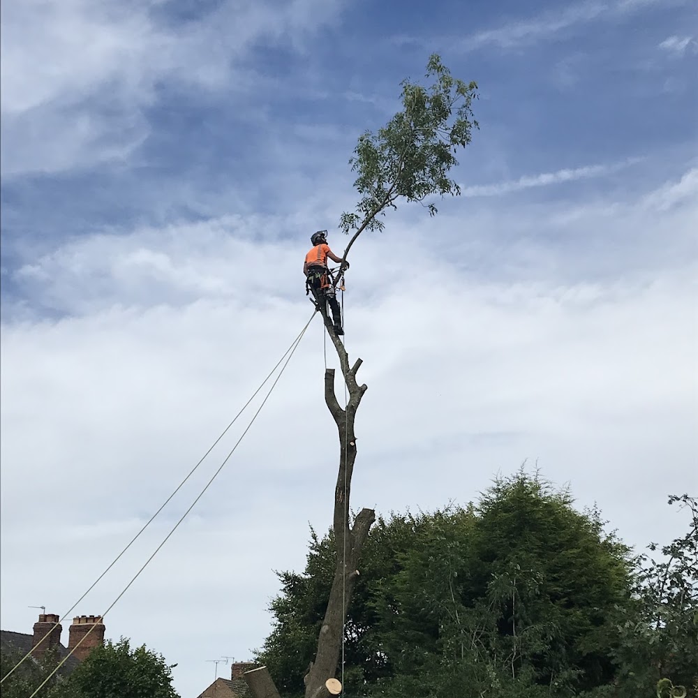 LEEs TREEs and Garden Services Ltd