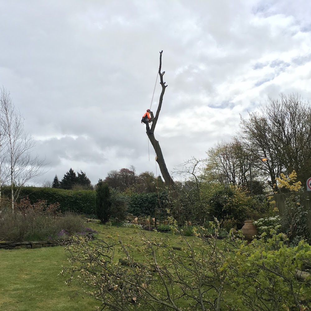 CHC Tree Care