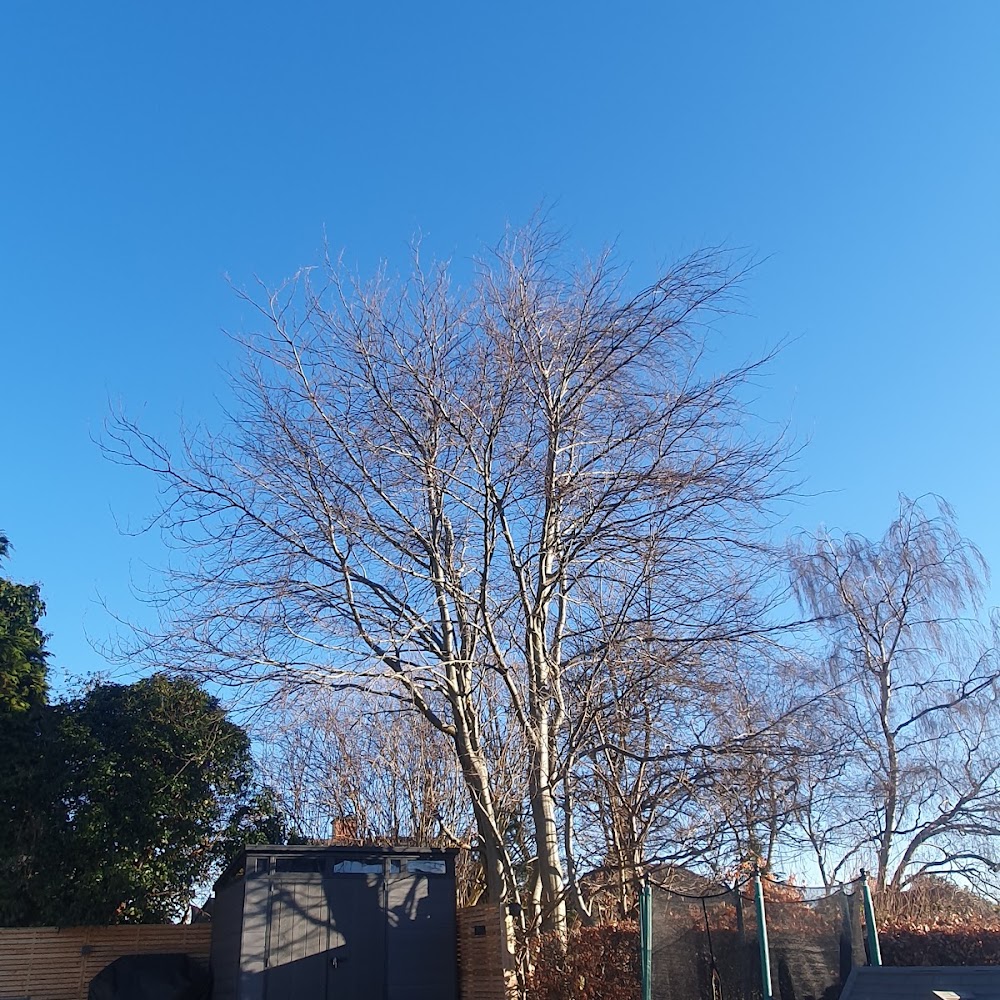 Worboys Garden Care