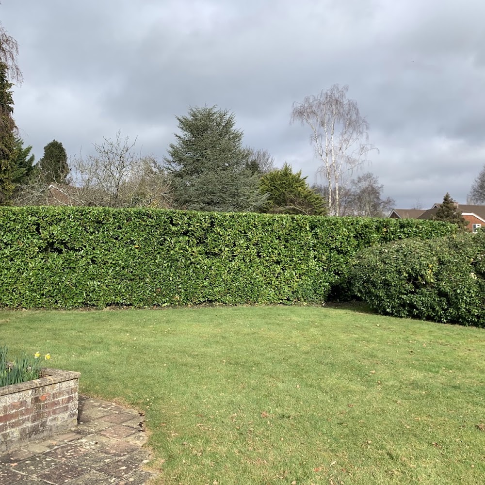 Paul Freeman Tree Services
