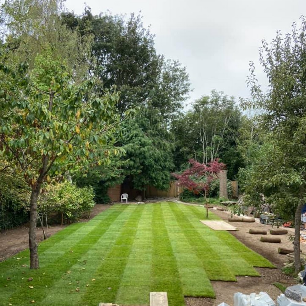 TM Landscapes & Garden Design