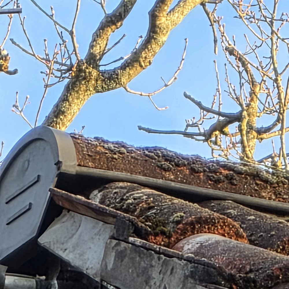 Southampton Roof Repairs